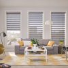 zebra blinds