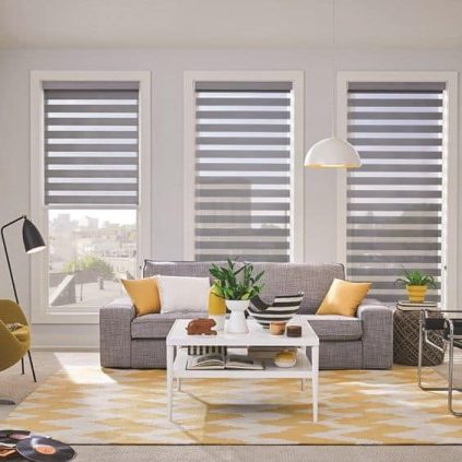 zebra blinds