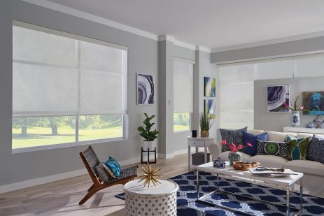 Decorative Roller Shade 7%