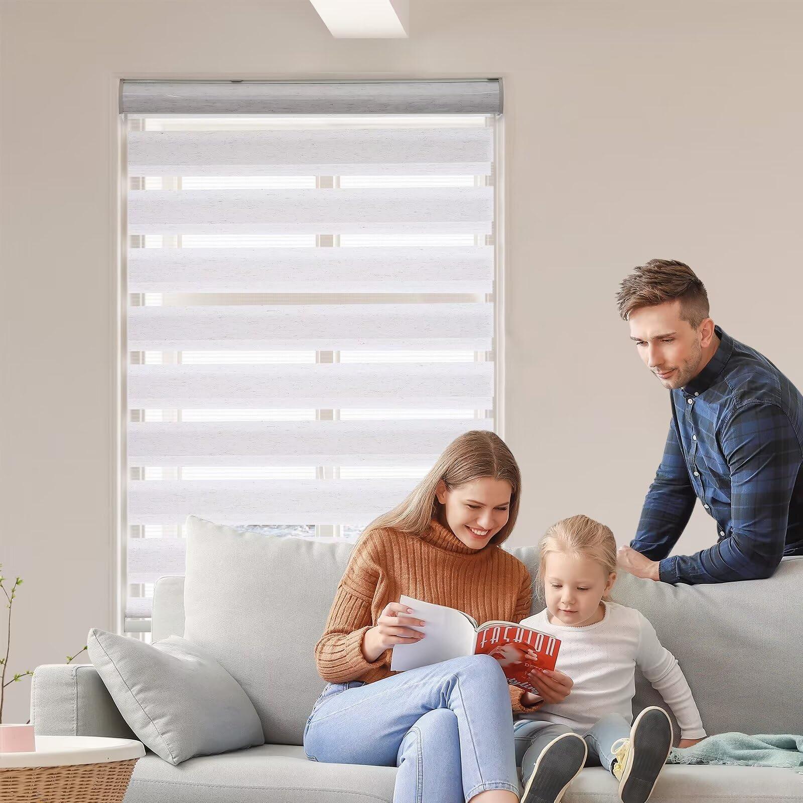 Zebra Blinds