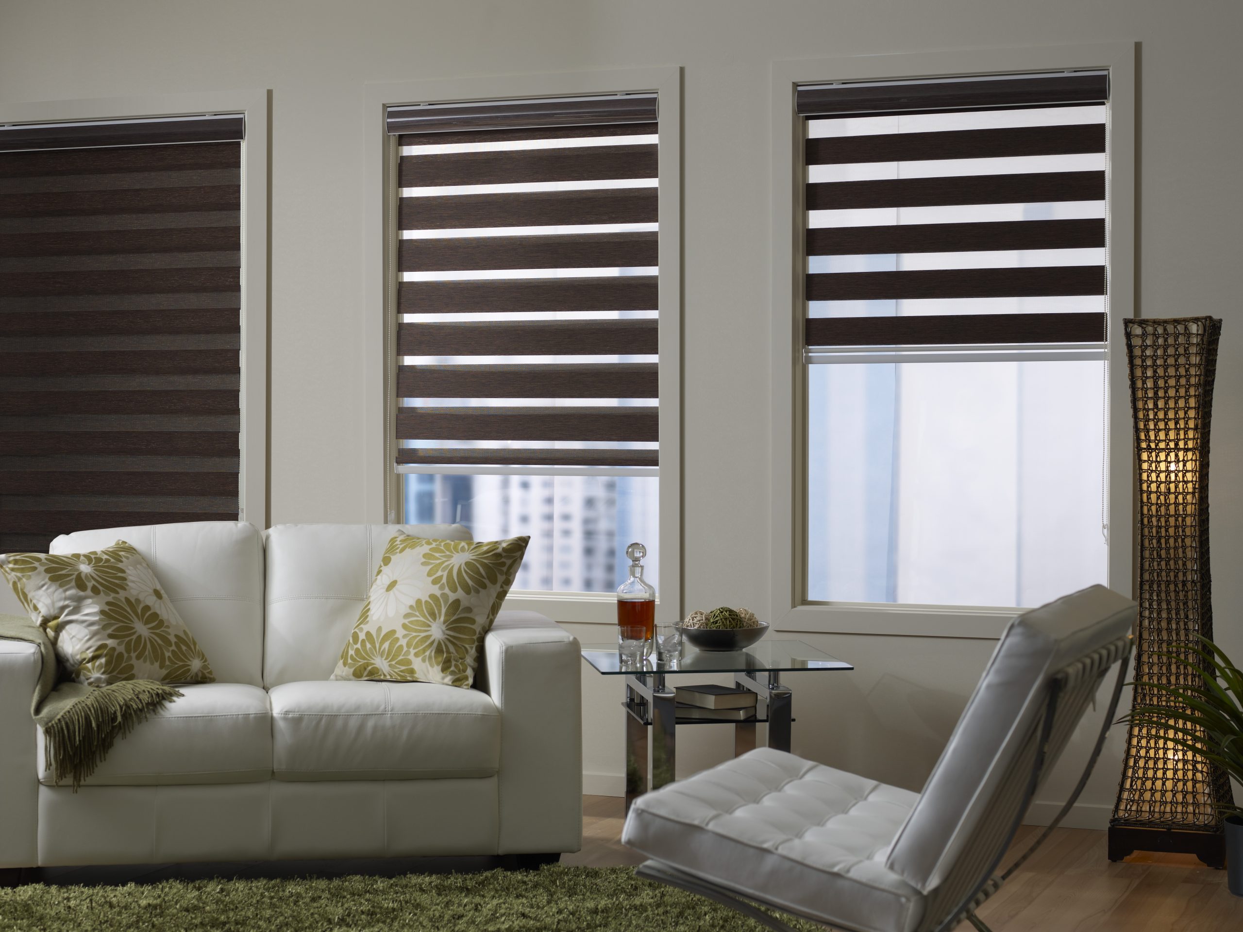 Room Darkening Zebra blind