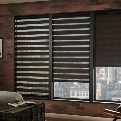 Zebra Blinds