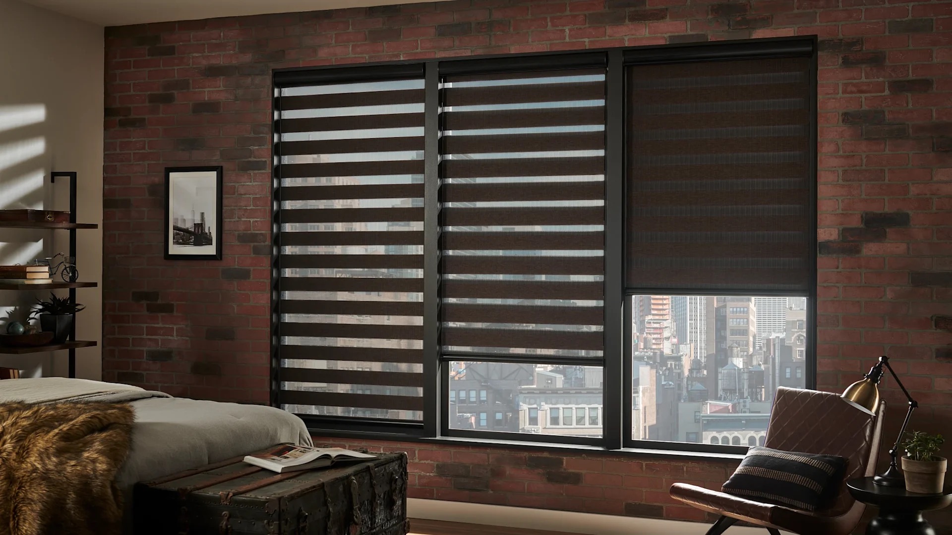 Zebra Blinds
