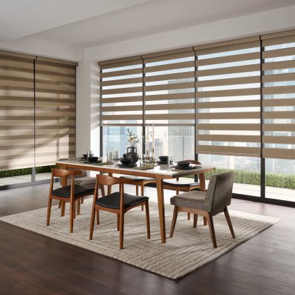 Zebra Blinds
