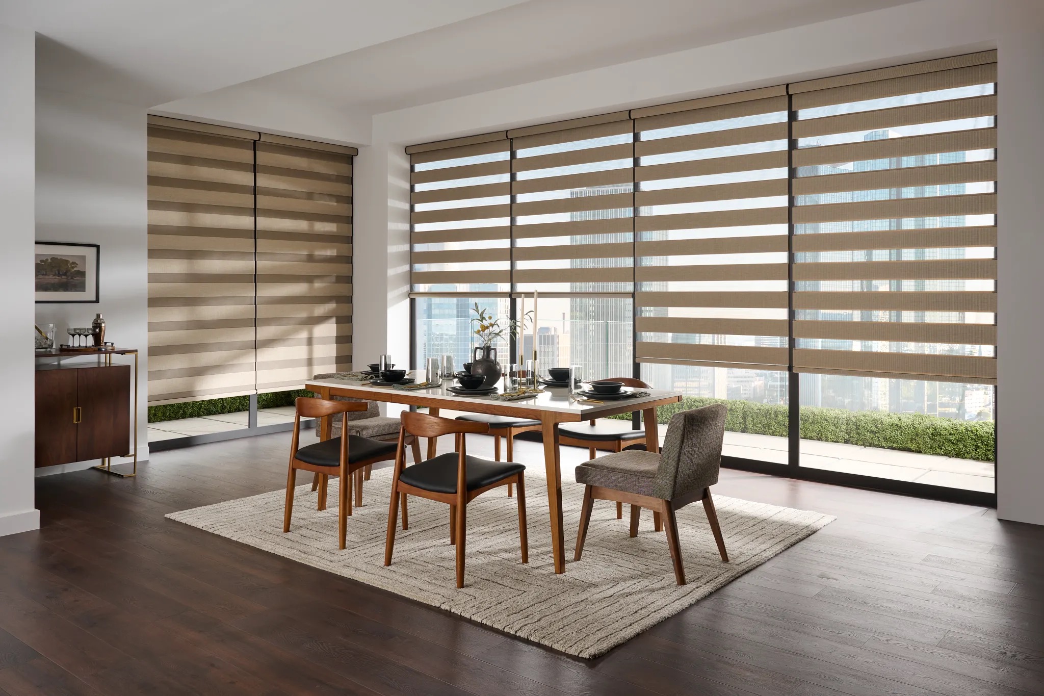 Zebra Blinds