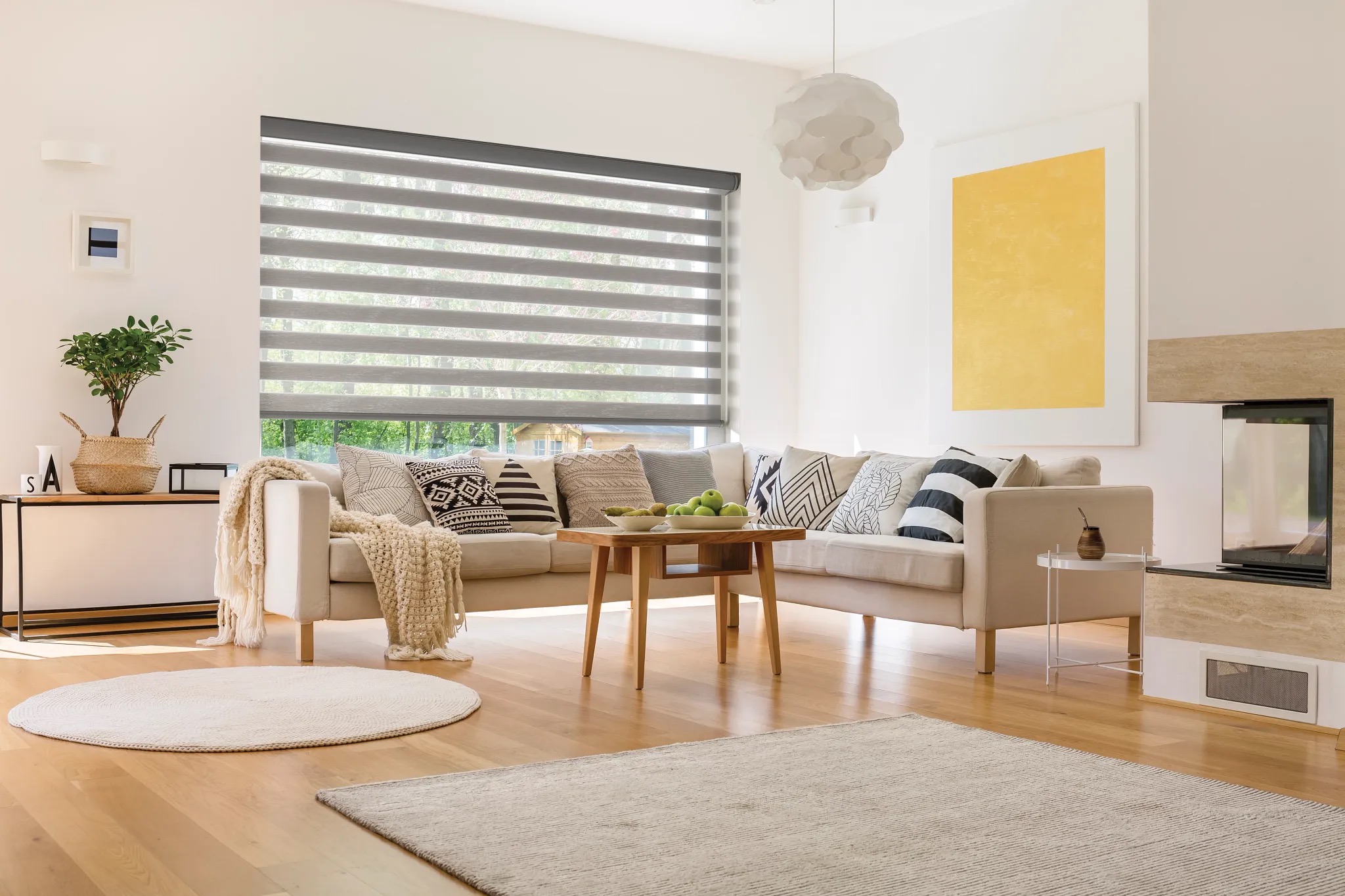 Zebra Blinds