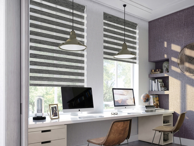 Zebra Blinds