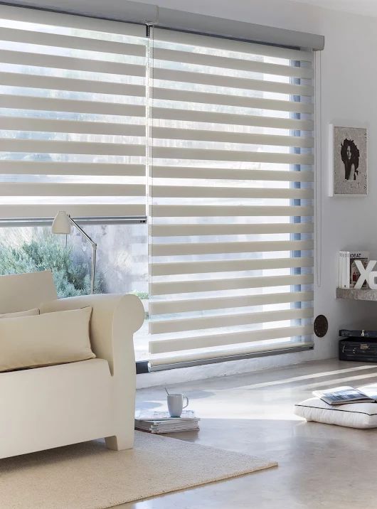 Zebra Blinds